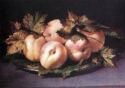 FIGINO, Giovanni Ambrogio Still-life with Peaches and Fig-leaves fdg oil